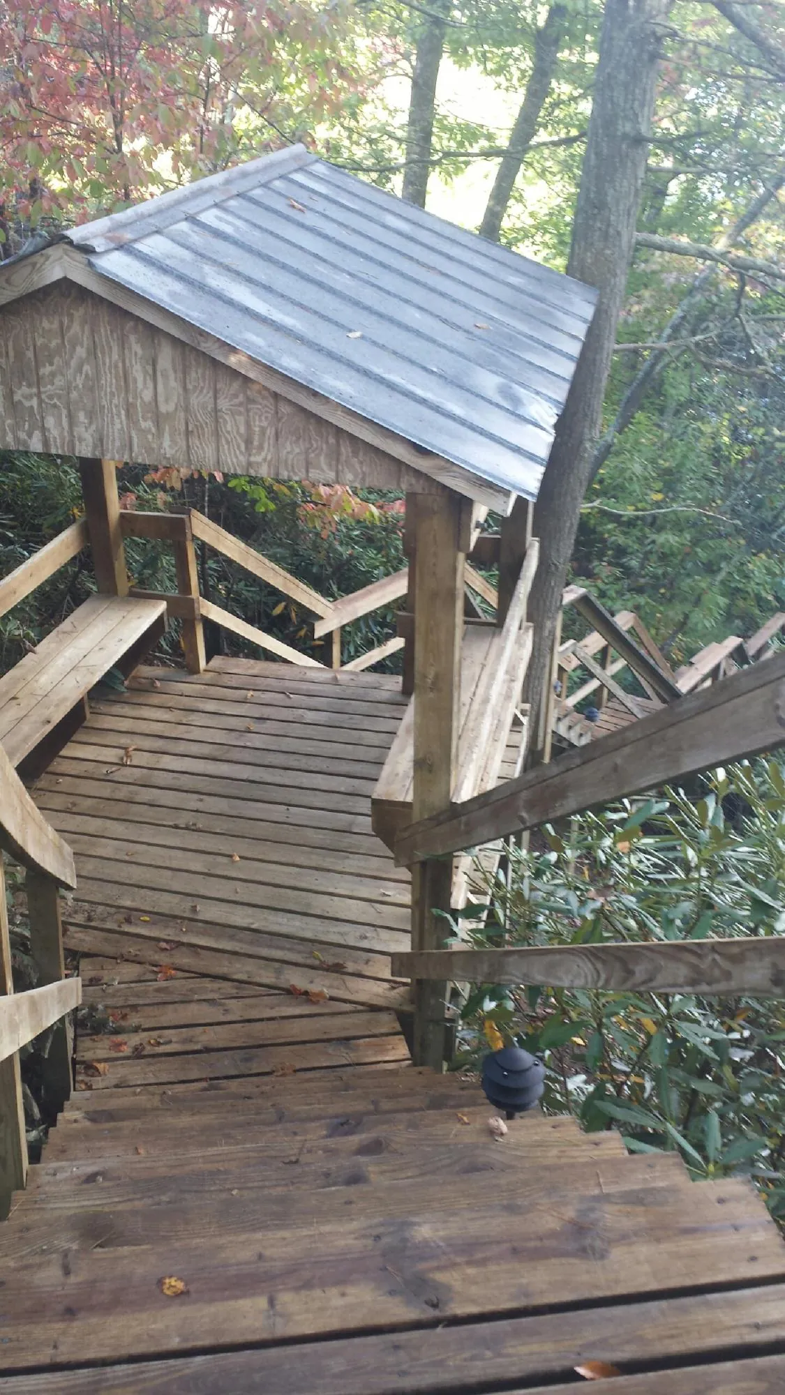 Metal roofed shelter over wooden steps on a wooded walkway — Skylight Repair & Installation work by our crew in Mount Rainier