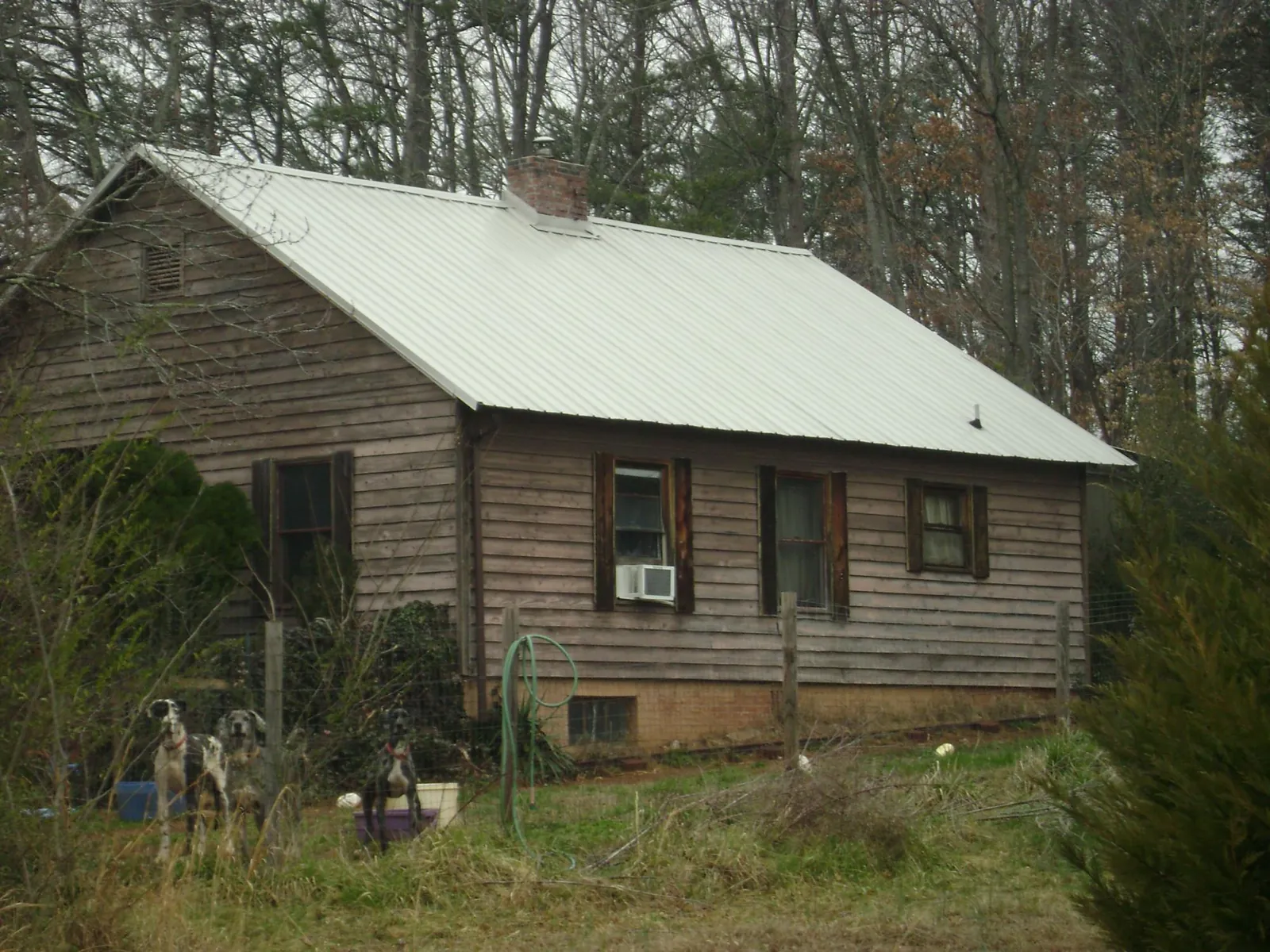 White metal roof on an old wood sided farmhouse, from a Metal Roof Installation job in Mount Rainier